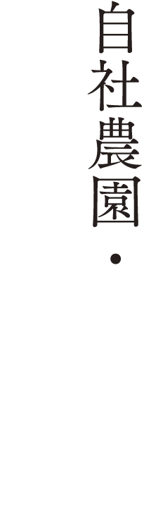 地産地消の厳選素材