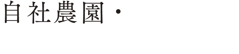 地産地消の厳選素材